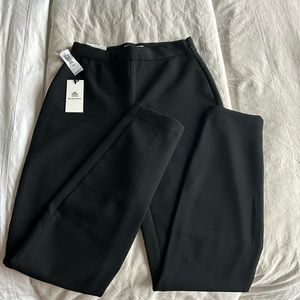 Aritzia Babaton Serra Pants